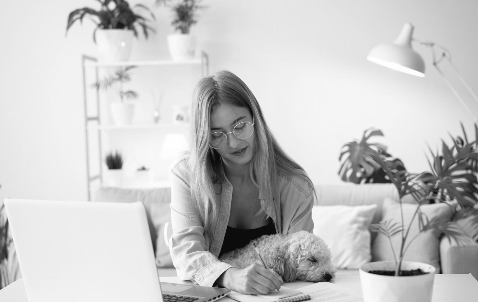 Implementación de optimización técnica